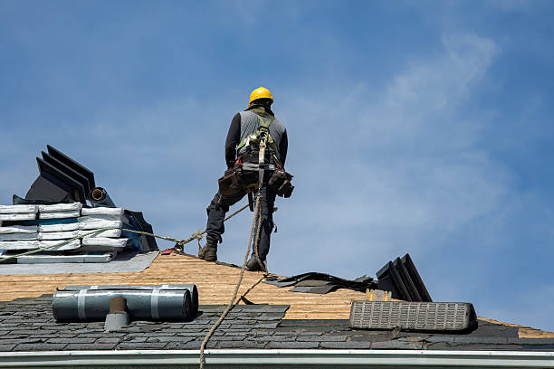Professional Roof Replacement technician working in Free Soil, MI